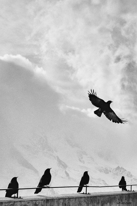 Master Visual Weight: 8 Essential Techniques for Pro Photography Composition