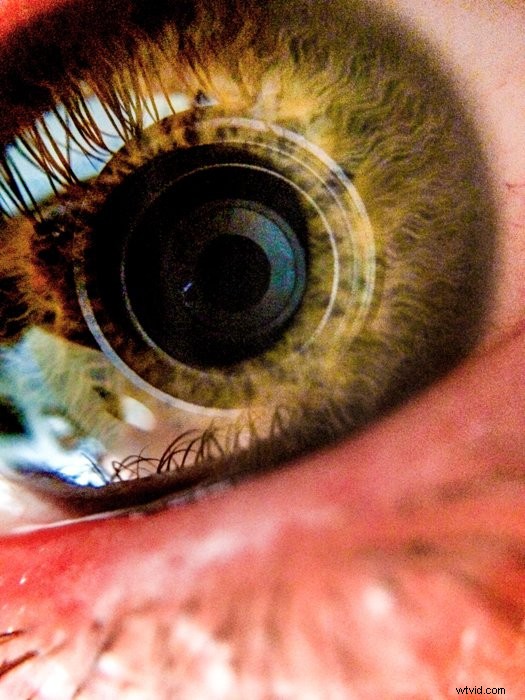 Camera vs. Human Eye: Do They Process Light the Same Way?