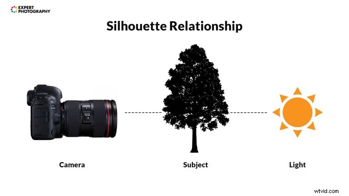 Master Silhouette Photography: Expert Techniques for Dramatic Shots