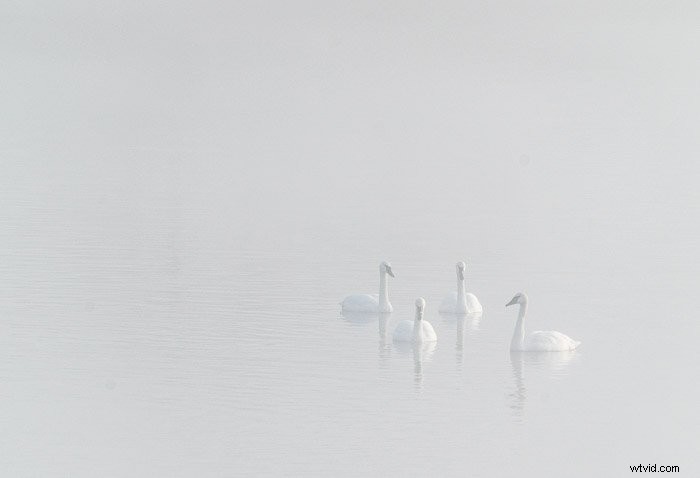 Master Photography Composition: 78 Essential Tips for Stunning Shots