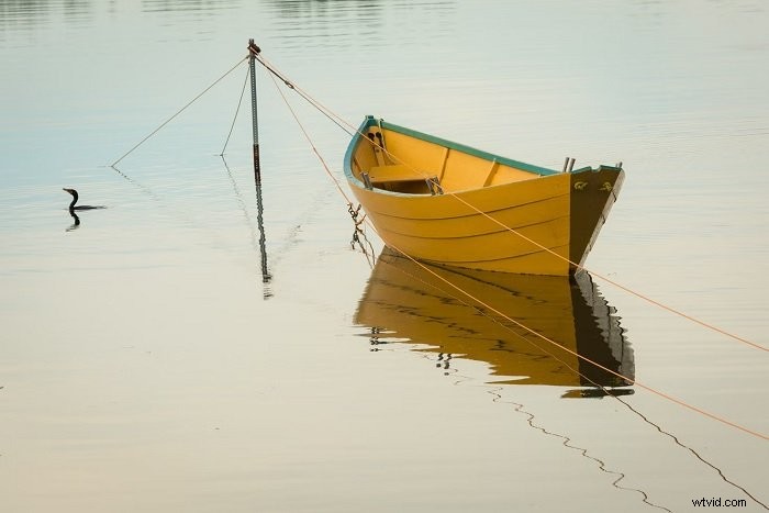 Mastering Emphasis in Photography: 10 Expert Tips to Highlight Your Subject