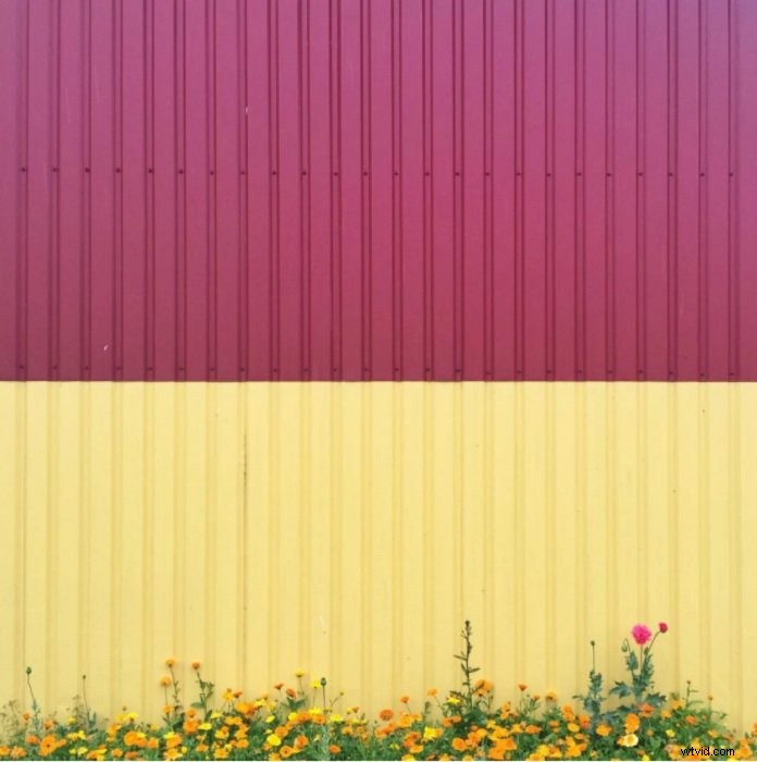 7 Vibrant Color Block Photoshoot Ideas to Ignite Your Creativity