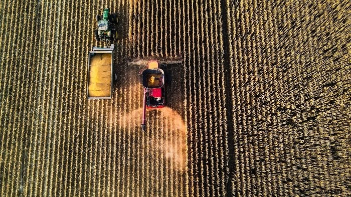 Mastering Rhythm in Photography: What It Is and How to Use It Effectively