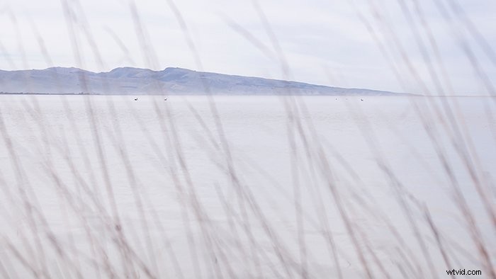 9 Expert Tips to Master Color in Photography