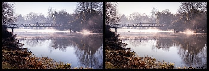 9 Expert Tips to Master Color in Photography