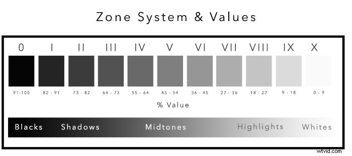 Mastering Value in Photography: What It Is and How to Use It Effectively
