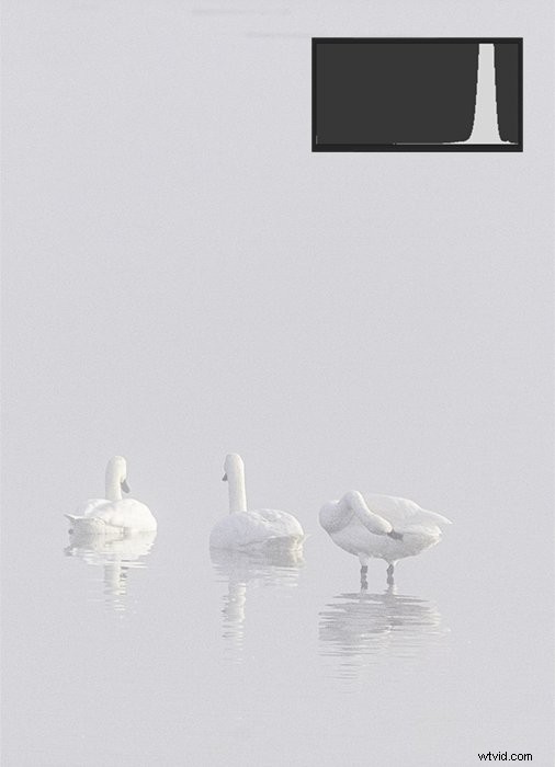 Mastering Value in Photography: What It Is and How to Use It Effectively