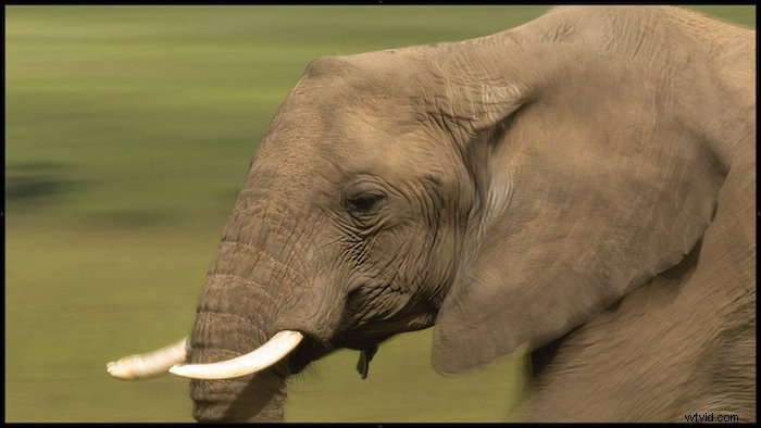 Topaz Sharpen AI 2022 Review: Is It Worth Buying? Honest Expert Verdict