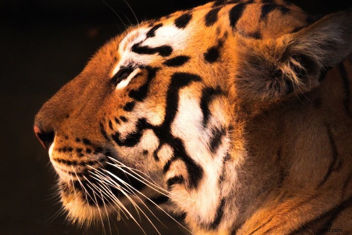 Topaz Sharpen AI 2022 Review: Is It Worth Buying? Honest Expert Verdict