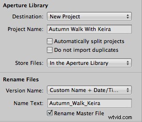 Master Your Photography Workflow: Organize Files Securely for Peak Productivity