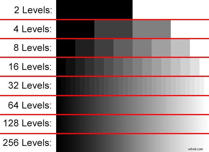 Master Adobe Lightroom s Develop Module: Ultimate Guide to Contrast and Tone Controls