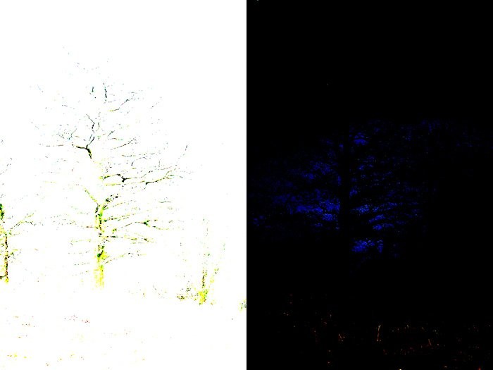 Master Adobe Lightroom s Develop Module: Ultimate Guide to Contrast and Tone Controls