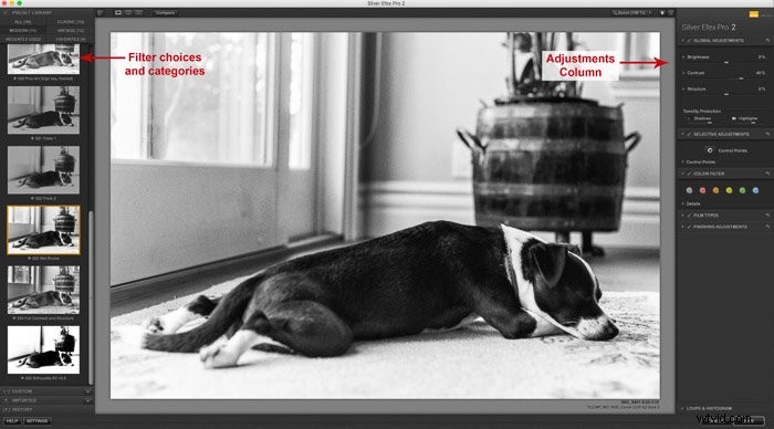 Nik Collection Guide: Pro Plugins to Supercharge Your Lightroom Workflow