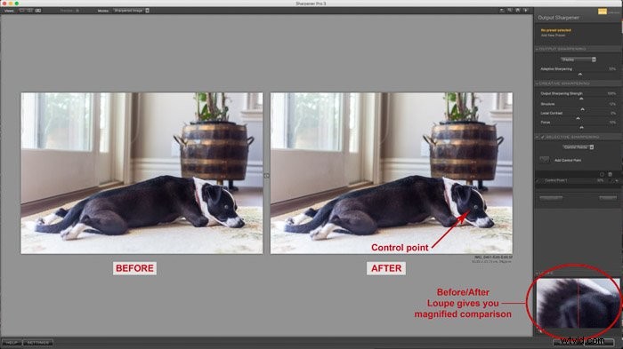 Nik Collection Guide: Pro Plugins to Supercharge Your Lightroom Workflow