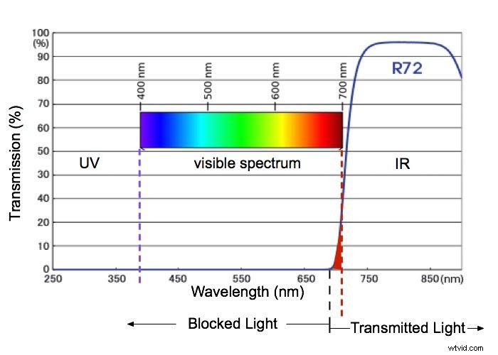 4 Essential Techniques for Editing Infrared Photography in Lightroom & Photoshop