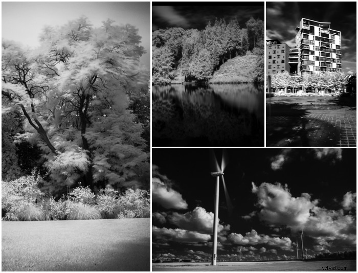 4 Essential Techniques for Editing Infrared Photography in Lightroom & Photoshop