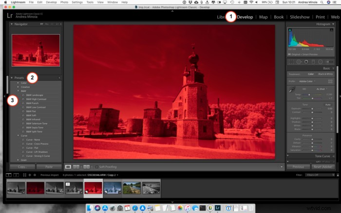 4 Essential Techniques for Editing Infrared Photography in Lightroom & Photoshop