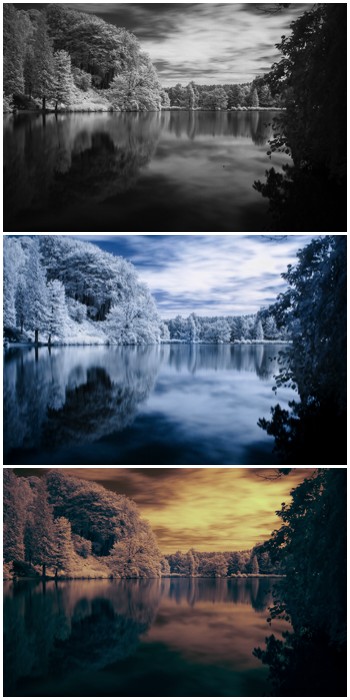 4 Essential Techniques for Editing Infrared Photography in Lightroom & Photoshop
