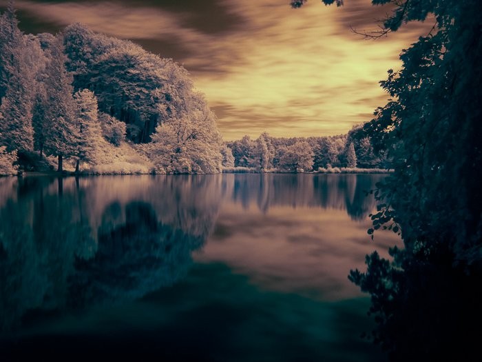 4 Essential Techniques for Editing Infrared Photography in Lightroom & Photoshop