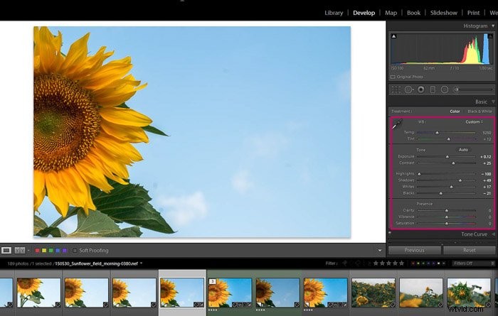 9 Essential Lightroom Editing Tips for Stunning Flower Photography