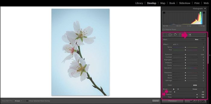 9 Essential Lightroom Editing Tips for Stunning Flower Photography