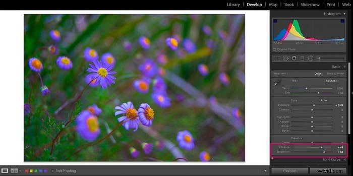 9 Essential Lightroom Editing Tips for Stunning Flower Photography