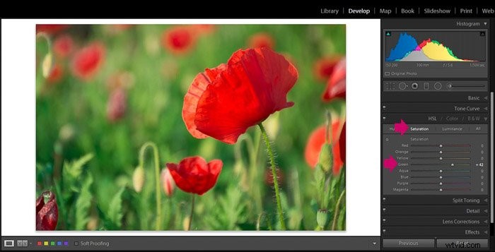 9 Essential Lightroom Editing Tips for Stunning Flower Photography