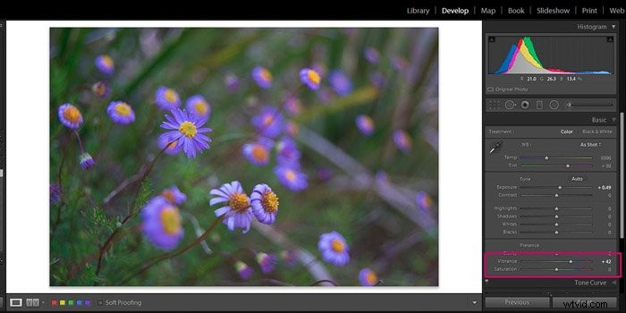 9 Essential Lightroom Editing Tips for Stunning Flower Photography