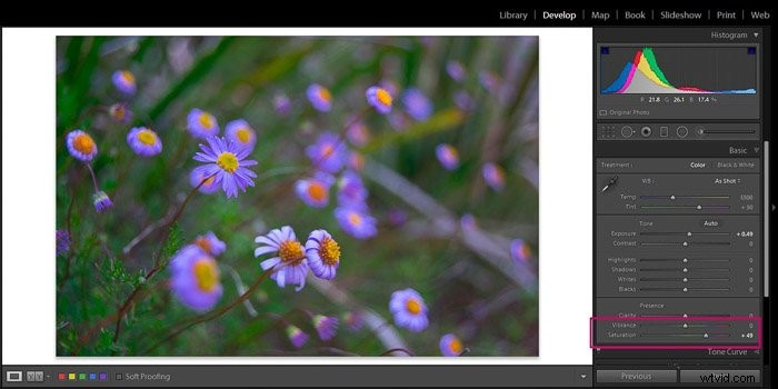 9 Essential Lightroom Editing Tips for Stunning Flower Photography
