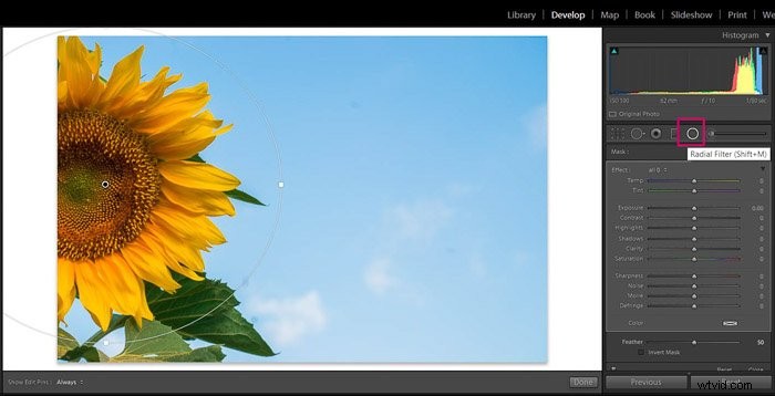 9 Essential Lightroom Editing Tips for Stunning Flower Photography