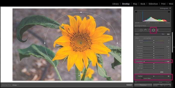 9 Essential Lightroom Editing Tips for Stunning Flower Photography