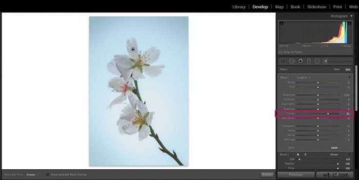 9 Essential Lightroom Editing Tips for Stunning Flower Photography