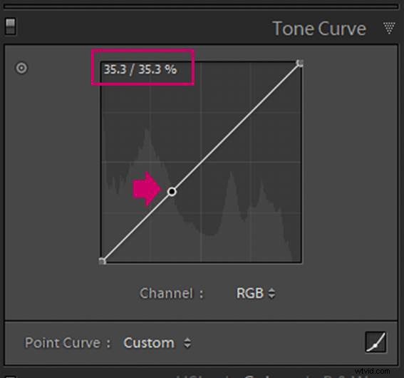 9 Essential Lightroom Editing Tips for Stunning Flower Photography