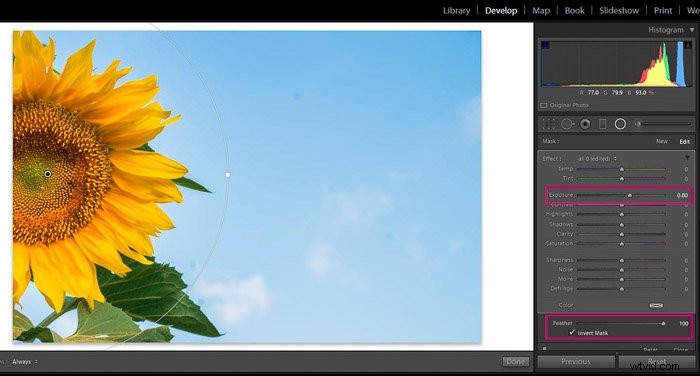 9 Essential Lightroom Editing Tips for Stunning Flower Photography