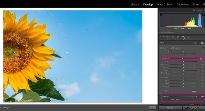 9 Essential Lightroom Editing Tips for Stunning Flower Photography