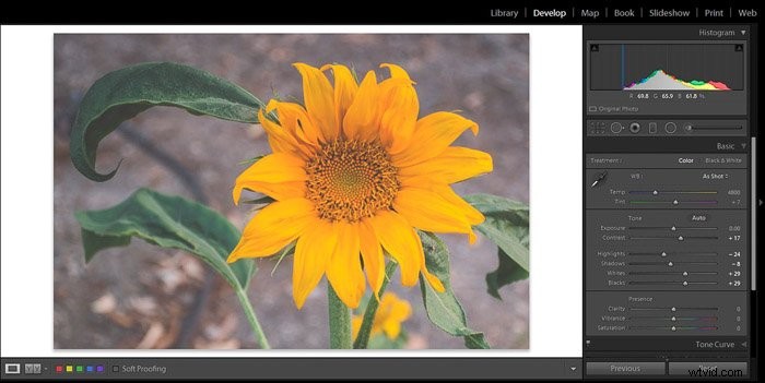 9 Essential Lightroom Editing Tips for Stunning Flower Photography