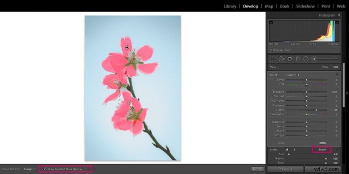 9 Essential Lightroom Editing Tips for Stunning Flower Photography