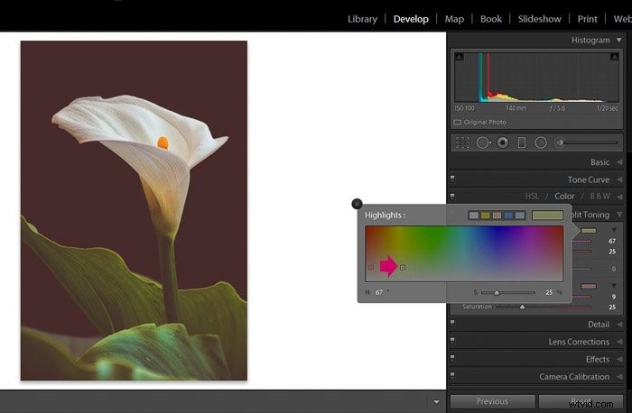 9 Essential Lightroom Editing Tips for Stunning Flower Photography