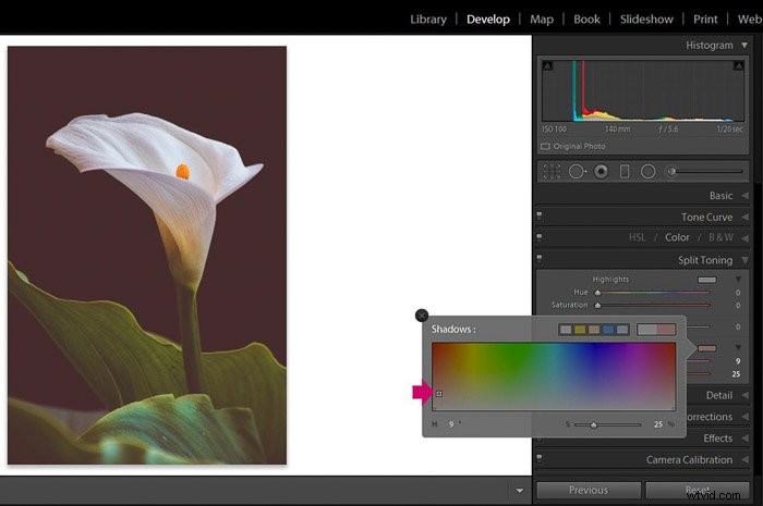 9 Essential Lightroom Editing Tips for Stunning Flower Photography