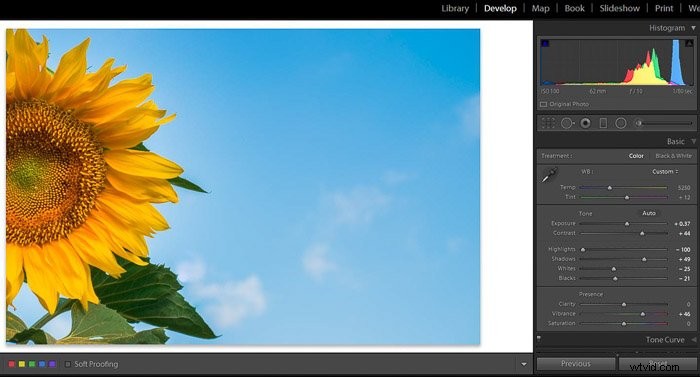 9 Essential Lightroom Editing Tips for Stunning Flower Photography