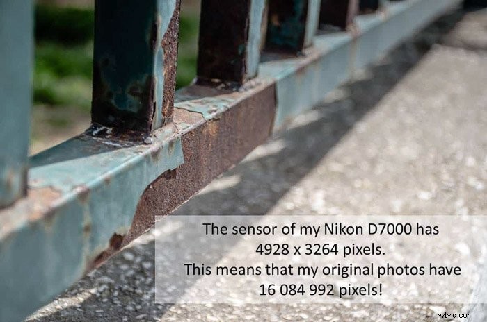 How to Resize Images in Adobe Lightroom: Step-by-Step Guide