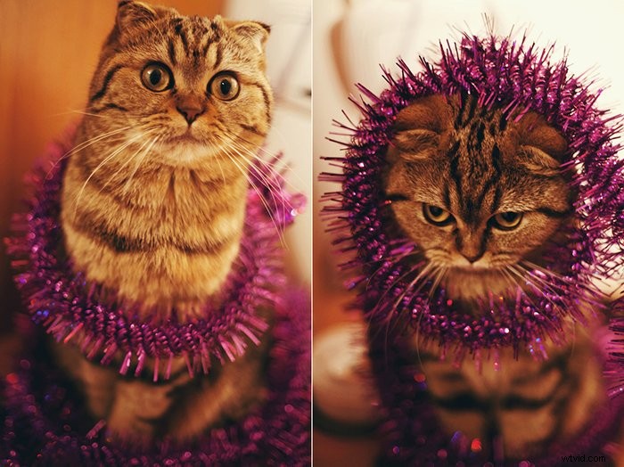 Master Diptych Photography: 10 Expert Tips for Stunning Results