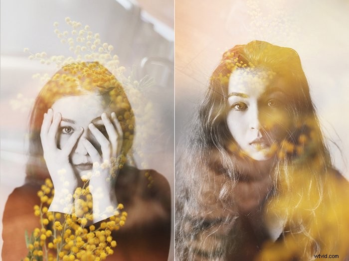 Master Diptych Photography: 10 Expert Tips for Stunning Results