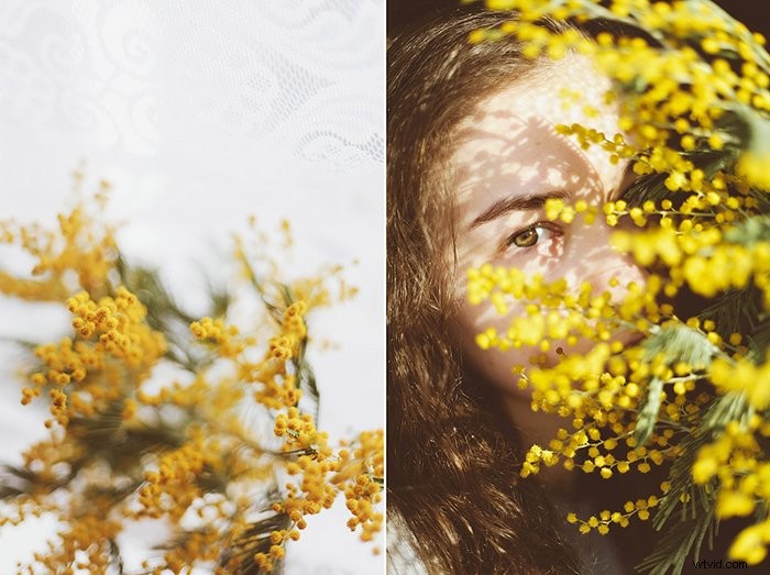 Master Diptych Photography: 10 Expert Tips for Stunning Results