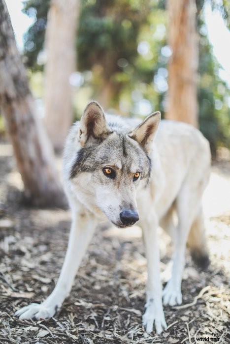 Fix the Top 10 Photo Editing Mistakes for Professional Results