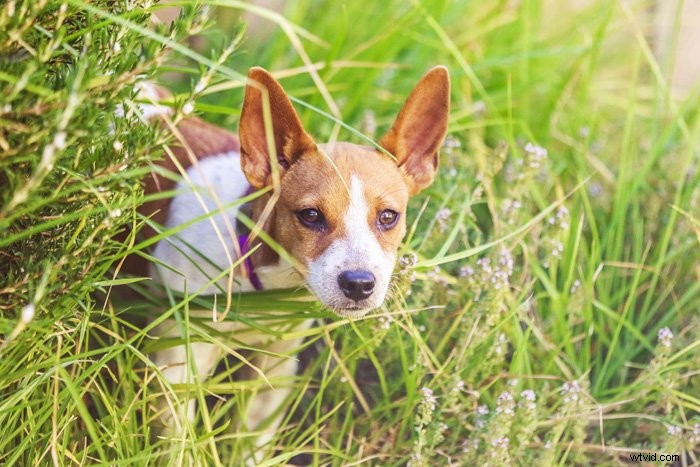 Fix the Top 10 Photo Editing Mistakes for Professional Results