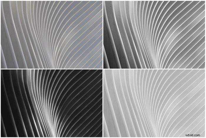 Master Black & White Fine Art Photography Editing: Pro Techniques