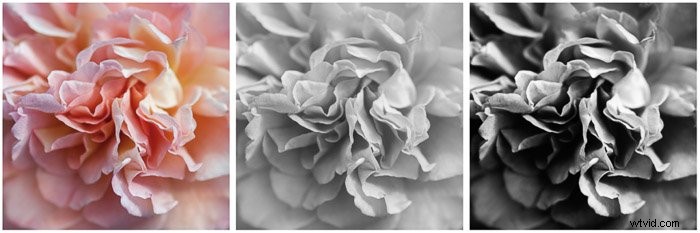 Master Black & White Fine Art Photography Editing: Pro Techniques