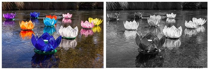 5 Essential Tips for Professional Black & White Photo Editing