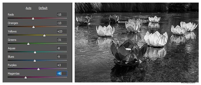 5 Essential Tips for Professional Black & White Photo Editing